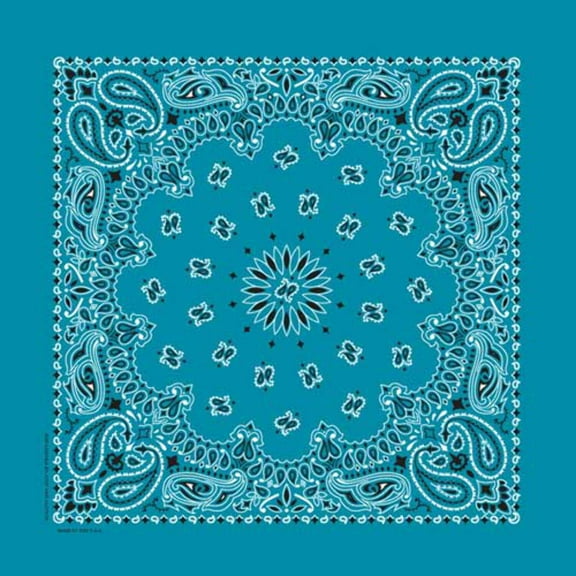 Bandanna Co Paisley, Turquoise, 22" x 22" (3rd)