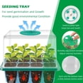 thumbnail image 4 of New Full Spectrum LED Growing Lamp Seed Starter Trays Greenhouse Growing Lamp for Indoor Plant, 4 of 5
