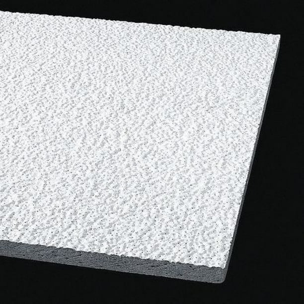 ARMSTRONG 860 Armatuff Ceiling Tile, 24 in W x 48 in L , PK8