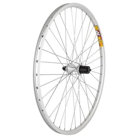 Rear Wheel - 26" x 1.5", Double Wall, 8-Speed, Quick Release, 36H, All Silver