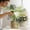 🎈Gray_Base#398, variant on Indoor Plant Mister Spray Bottle 300ml Fine Mist Plastic Watering Can for Houseplants, Succulents, Flowers and Small Indoor Outdoor Plants