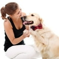 thumbnail image 4 of Dog and Cat collars with detachable adjustable bow ties, gentlemanly, Red 35CM, 4 of 5