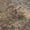 Brown, variant on Addison Rugs Mayfield Premium Machine Washable Transitional Abstract Teal Rectangle Rug, 10' x 14'