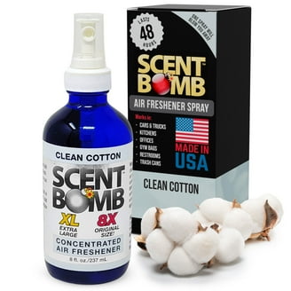SMOKE ODOR