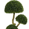 thumbnail image 3 of Nearly Natural 5ft. Five Head Boxwood Artificial Tree, UV Resistant (Indoor/Outdoor), 3 of 5