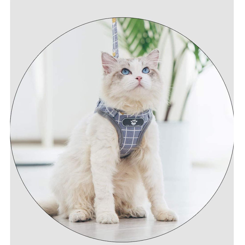for Outdoor Walking Escape Proof Adjustable Kitten Harness with Reflective Strip Easy Control and Soft Breathable Mesh Small Pet Vest with Plush Bouncy Ball and 2 Mouse Toy Demigreat Cat Harness 