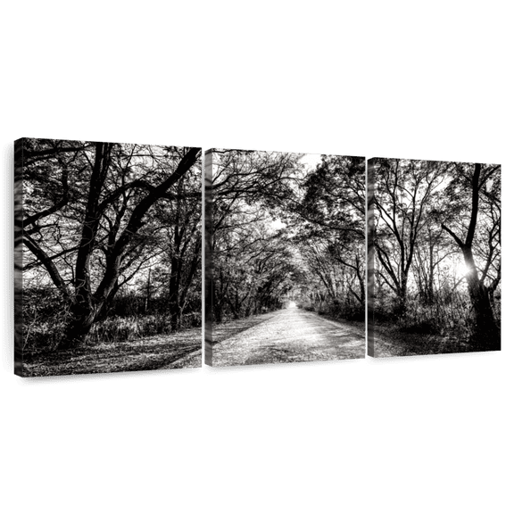 Elephant Stock Bw Forest Path Wall Art - Horizontal Multi Panel Canvas - Living Room Wall Decor - Floral And Botanical Multi Panel - Black And Beige Decor - 26" x 12"
