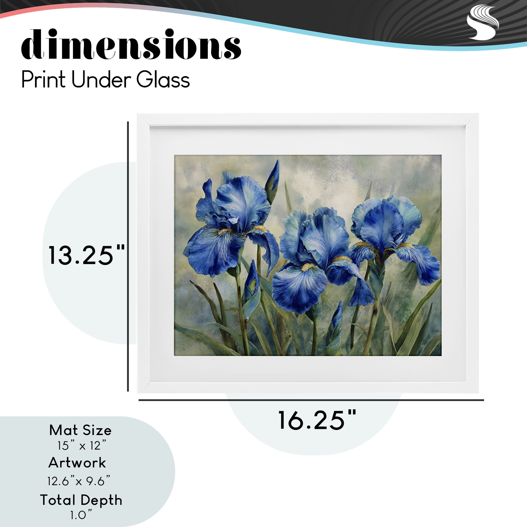 Stupell Industries Drawn Blue Iris Flowers White Framed Print Under Glass, design by Franklyn Gregory