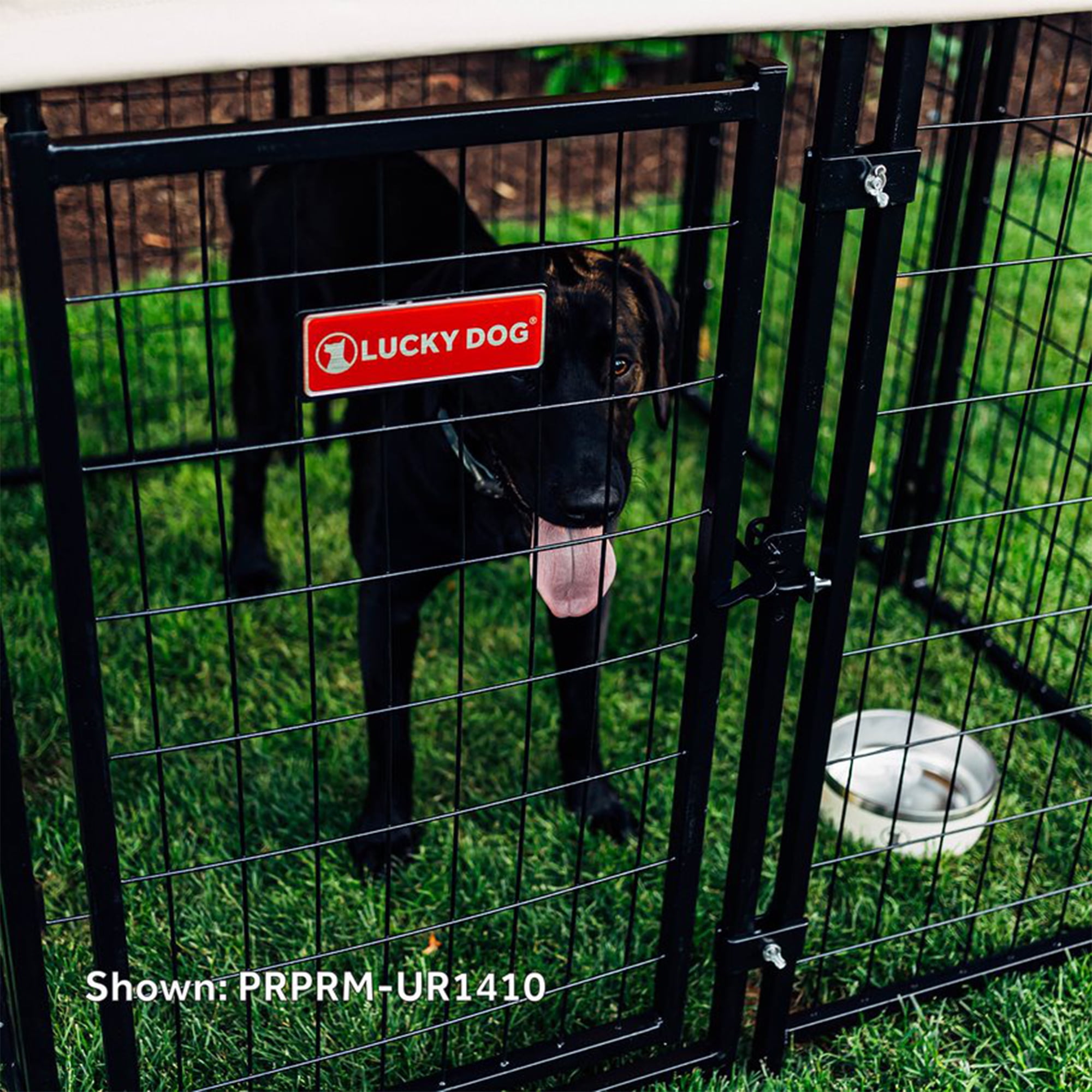 Lucky dog kennel 4x4 discount