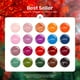 thumbnail image 2 of Set de esmaltes de uñas en gel Beetles Fall Yard, 20 colores para mujer, 2 of 8