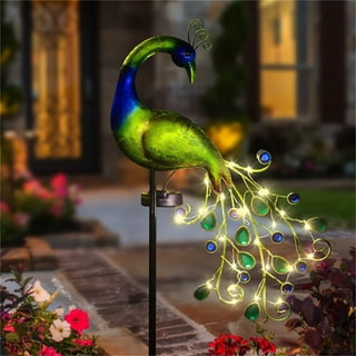 Lighted Peacock