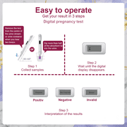 AnTester 2x Early Digital Pregnancy Test Kit + 4x hcg Test Strips 10mIU/mL,at-Home Pregnancy Test Kit for Women with Easy-to-Read Results