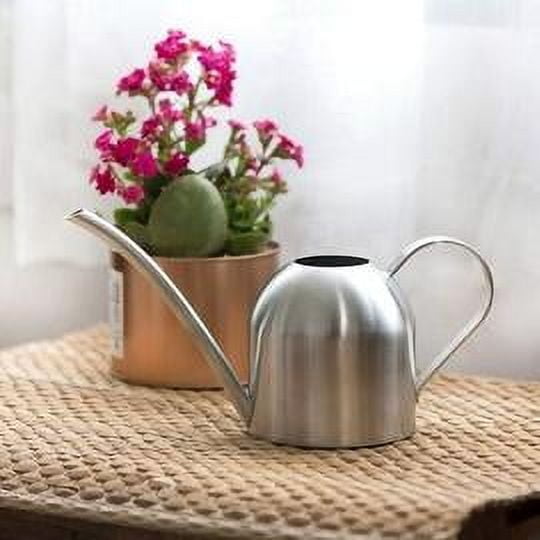 Elegante regadera de acero inoxidable, gran decoración con superficie dorada pulida a mano para invernadero de oficina en casa, gran entrada de agua para riego eficiente, plata, 1000 ml