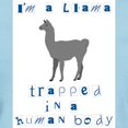 thumbnail image 3 of CafePress - I'm A Llama Women's Pink T Shirt - Women's Classic T-Shirt, 3 of 4