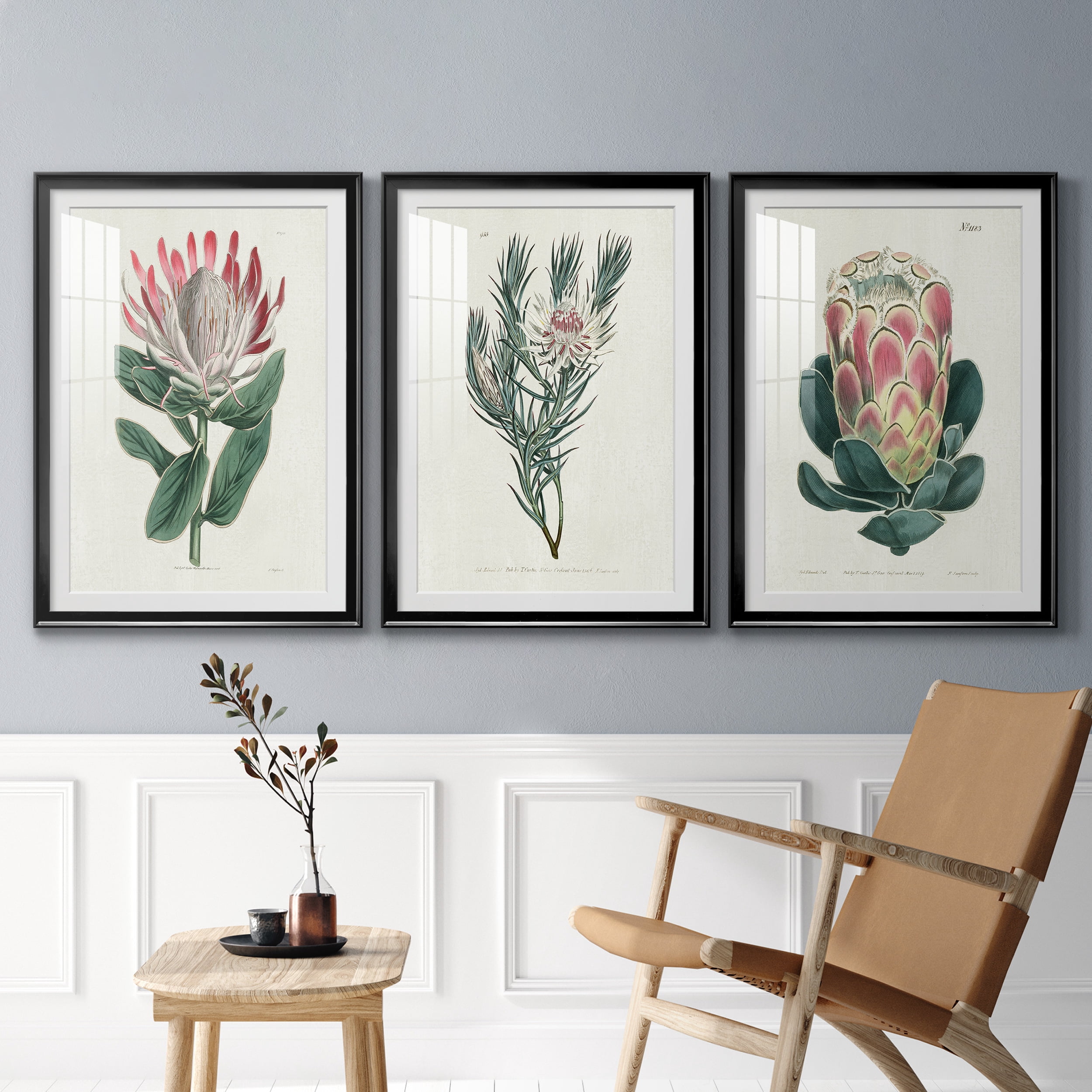 Protea N13 Premium Framed Prints Set of 3 - Ready to Hang - 26.5 x 36.5 Each - Black Frame