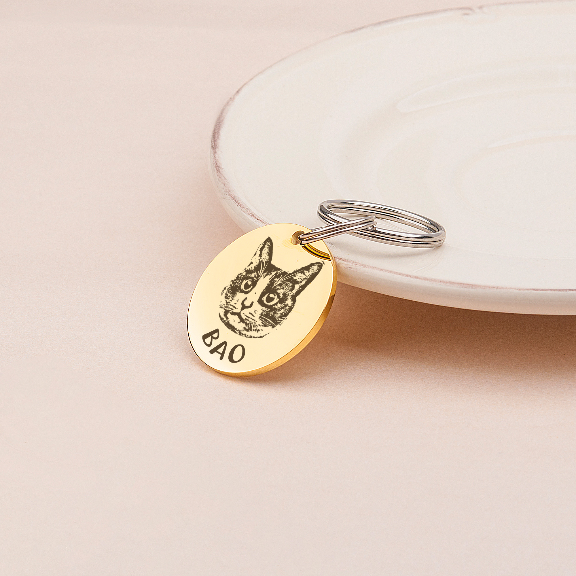 Anavia Stainless Steel Double Sided Round Name - Pet Portrait Photo Engraved Dog & Cat ID Tag, Gold, M