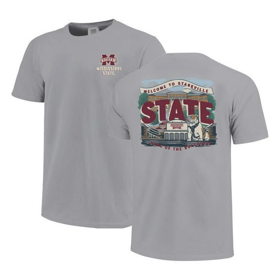 Youth  Gray Mississippi State Bulldogs Local Campus Scene T-Shirt