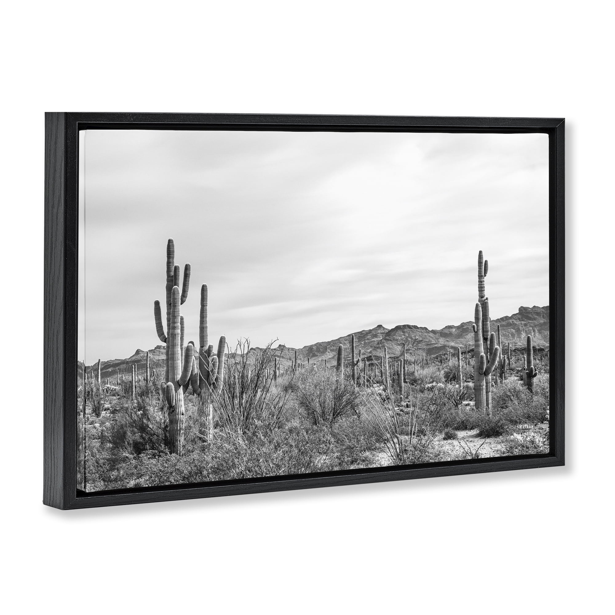 Stupell Industries Sonoran Desert Wonderland Landscape & Nature Photography Black Floater Framed Canvas Art Print Wall Art, 31 x 21