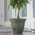 thumbnail image 2 of Bloem Vivant Vert, 2 of 2