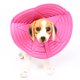 thumbnail image 3 of Ficarrico Pet Dog Cat Soft Ring Collar Cover Anti-Mordedura Anti-Agarre EVA Protector de cuello suave L, 3 of 8