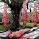thumbnail image 1 of Wmhnj Cadver inflable grande de Halloween para colgar al aire libre, decoracin para patio, figura fantasmal espeluznante de 6 pies de alto con fcil instalacin para exhibicin embrujada en el, 1 of 7
