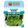 Backyard Farms Romaine Blend Pre-Washed Lettuce, 4 oz Resealable Package, Fresh