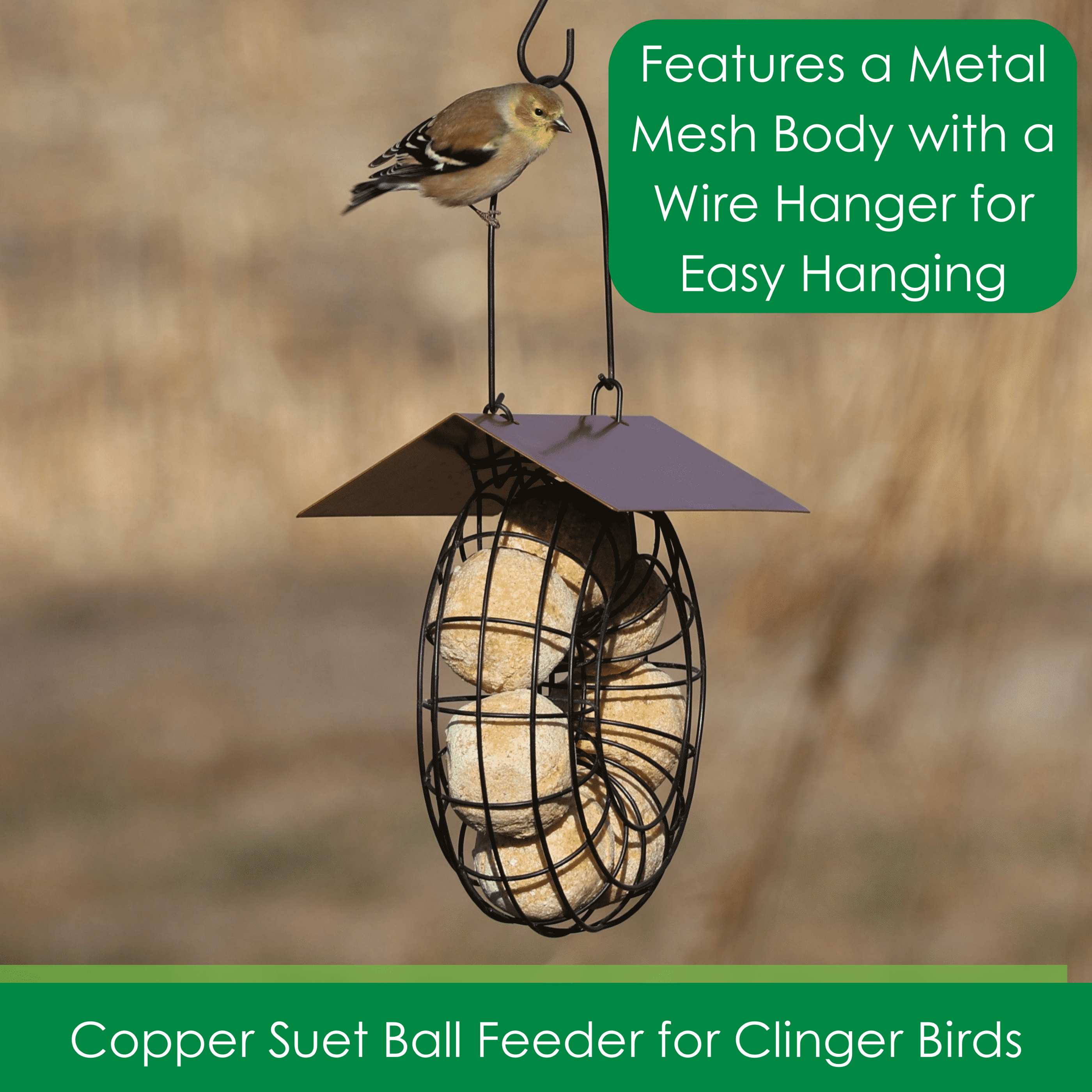 Songbird Essentials Suet Feeder for Suet Balls Metal Hanging Bird Feeder, 6 Suet Ball Capacity Copper