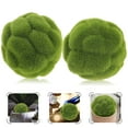 thumbnail image 2 of YULIJU 2pcs Preserved Moss Decorative Moss Balls Decor Balls Green Moss Decor Indoor Ornaments, 2 of 5