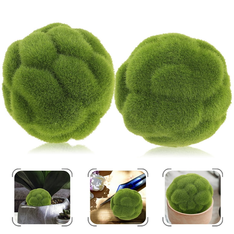 NUOLUX 2pcs Preserved Moss Decorative Moss Balls Decor Balls Green Moss  Decor Indoor Ornaments 