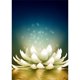 thumbnail image 1 of Diamond Painting (DB3455) Rhinestone Wall Craft Full Round Pond Lily DIY Kit 50x70cm Blanco FLhrweasw Nuevo, 1 of 1