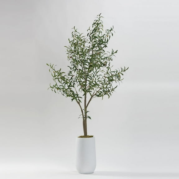 D & W Silks Olive Tree in Tall White Clay Planter