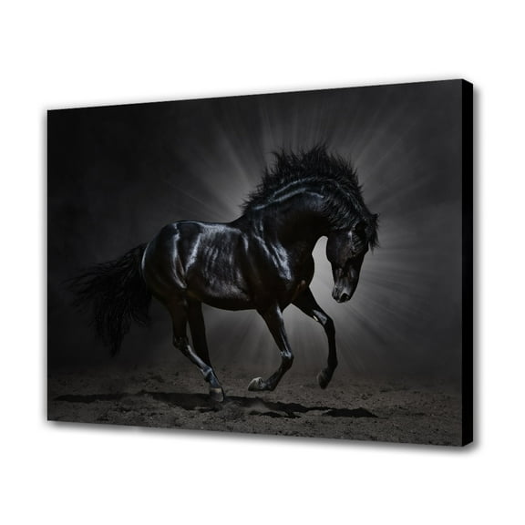 Black Horse Wild Animal Painting Canvas Poster Bedroom Decor Sports Landscape Office Room Decor Gift,Frame-style,12x18inch(30x45cm)