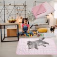 thumbnail image 5 of LADIGASU Cool Feeling Cats - Breathable Cool Small Mat - Spring And Summer Dog Bed Kennel - Pet Cats Mats, 5 of 5