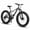 Gray, variant on 26 Inch Fat Tire Mountain Bikes, Dual Full Suspension 21 Speed, 4-Inch Wide Fat Tire, for Mens Womens Bicycles