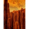 thumbnail image 2 of Surma And Guillen 19x24 Black Modern Framed Museum Art Print Titled - Desert Vibes II, 2 of 4