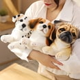thumbnail image 2 of Simulation Plush Dogs Toy Look Alike Husky Dalmatians Akita Miguel Sharpie Puppy Dolls Lovely Stuffed Toys Kids Birthday GiftRed32cm Deng Xun unisex, 2 of 2