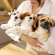 thumbnail image 2 of Simulation Plush Dogs Toy Look Alike Husky Dalmatians Akita Miguel Sharpie Puppy Dolls Lovely Stuffed Toys Kids Birthday GiftWhite32cm Deng Xun unisex, 2 of 2
