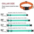thumbnail image 3 of Stylish & Durable Adjustable, Reflective Dog Collars - Multiple Colors & Sizes Available - Small, 3 of 10