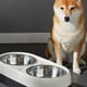 thumbnail image 2 of Comedero Elevado para Perros, de Acero Inoxidable, Antigolpes, para Perros y Gatos., 2 of 6