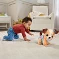 thumbnail image 3 of VTech Explore & Move With Puppy Walking Plush Toy - French Version, 3 of 6