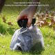 thumbnail image 2 of Pooper Scooper, Portable Dog Poop Scooper, Tamaño de Mano Pup Poop Scoop Dog Waste Cleaner con Bolsa de Basura para Caminar Perros Grandes y Pequeños Fuera del Patio (Amarillo), 2 of 3