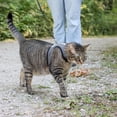 thumbnail image 3 of Pet Attire by Coastal <br>Harnais pour Chat Réglable et 6' Laisse, 3 of 11