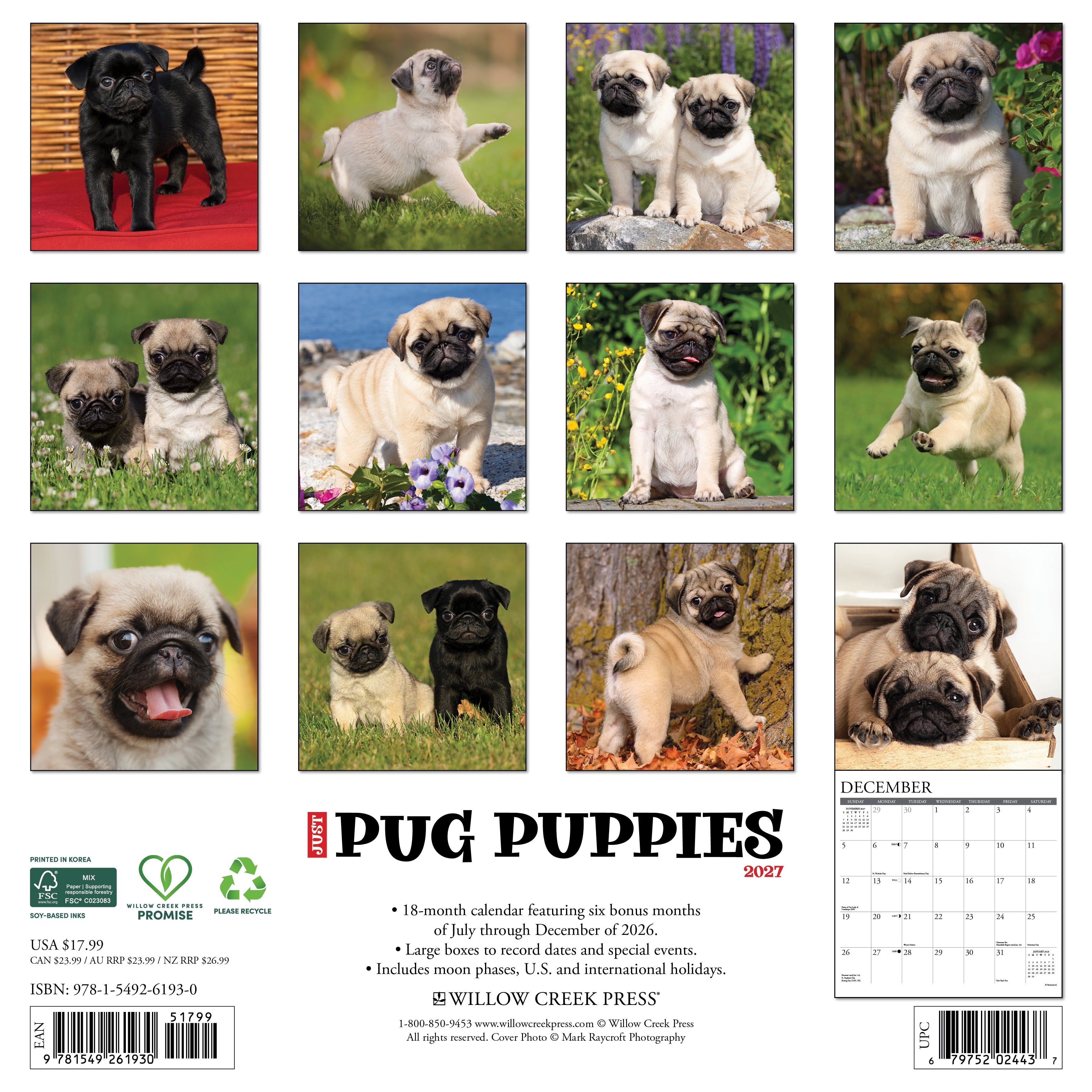 Willow Creek Press, Pug Puppies 2027 Wall Calendar
