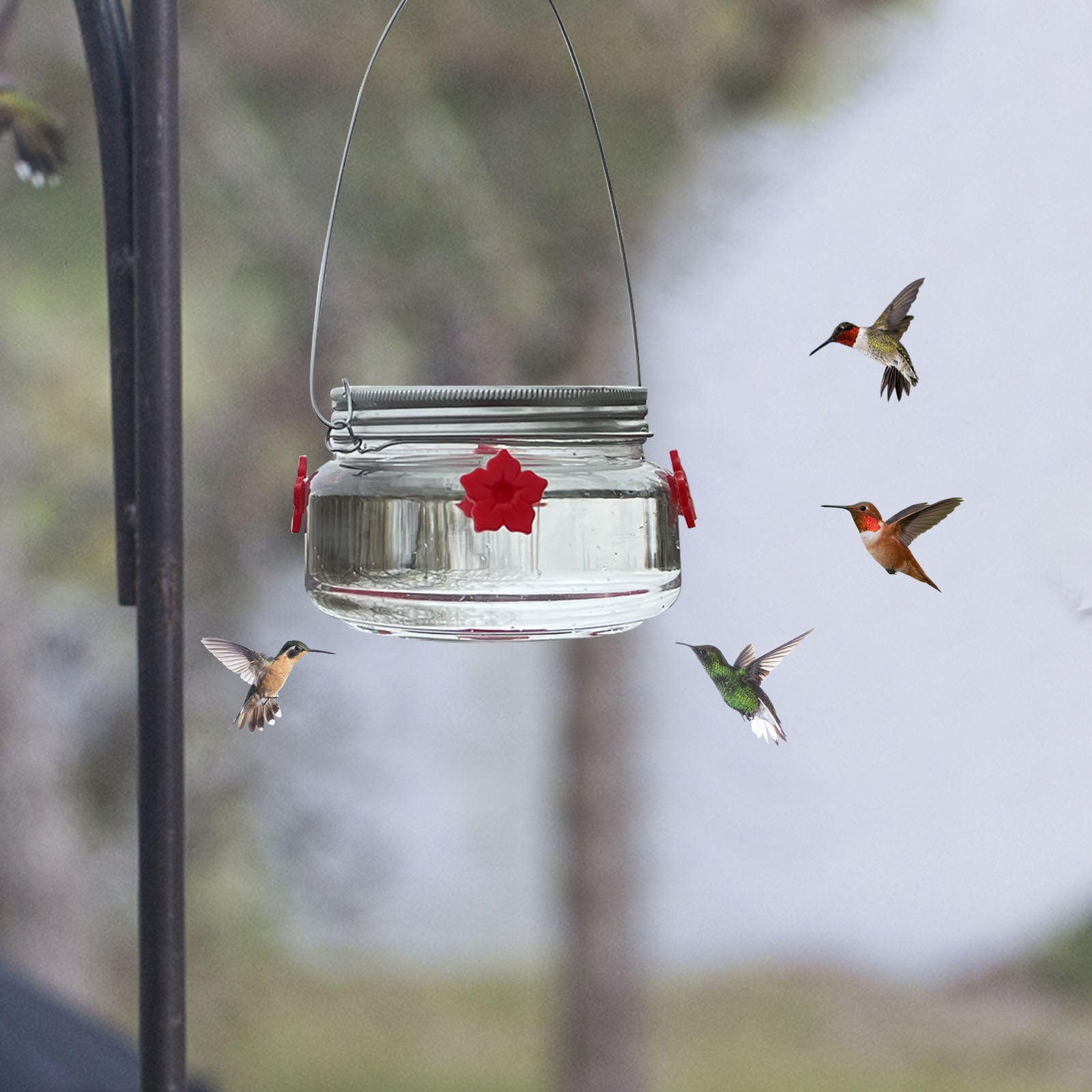 Stijggn Hummingbird Feeders for Outdoors Capacity Recycled Plastic Flat Mealworm Bird Feeder Tray for Wild Backyard Attracting Birds