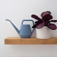 thumbnail image 4 of Bloem Mathers 6" Plastic Planter - Modern Indoor Pot with Drainage Holes and Saucer Tray, Vanilla Bean, 4 of 5