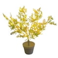 thumbnail image 2 of TIMIFIS Potted Lamp Led Simulation Bonsai Tree Lamp Suitable for Indoor Garden Balcony Landscaping Ambient Light Home Decoration, 2 of 6