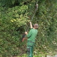 thumbnail image 6 of 2-in-1 21V Cordless Pole Hedge Trimmer - Multi-Angle Adjustable Electric Shrub Trimmer with Extension Pole & Grass Shear, Battery & Charger Included, 6 of 11