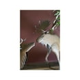 thumbnail image 2 of RUSTIC METAL MOOSE, 2 of 2
