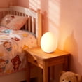 thumbnail image 3 of Night Light for Kids,Egg Night Light for Baby Nursery, 7 Colors Changing & 30-Min Timer Portable Nursery Night Lamp forBaby Nursery & Kids Bedroom,DIY Hand-Painted Custom Lamp, 3 of 4
