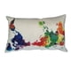 thumbnail image 3 of Patrón de mapa colorido almohadas cuadradas decoración funda de almohada sofá funda de almohada funda de almohada rectangular Scienceny JJ17790-00, 3 of 6
